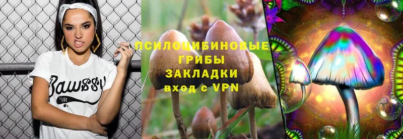 Псилоцибиновые грибы Cubensis  кракен как зайти  Дагестанские Огни  наркошоп 